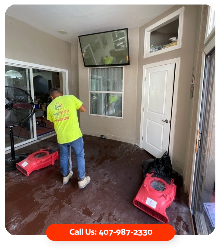 local water remediation specialists in orlando fl