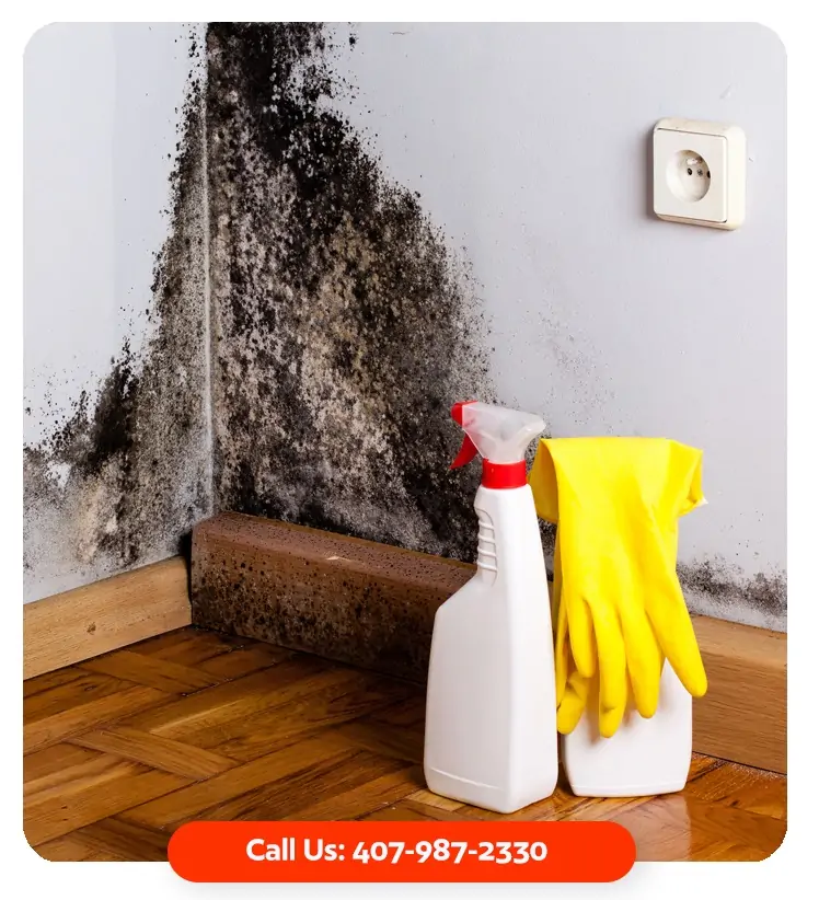 mold remediation four corners fl