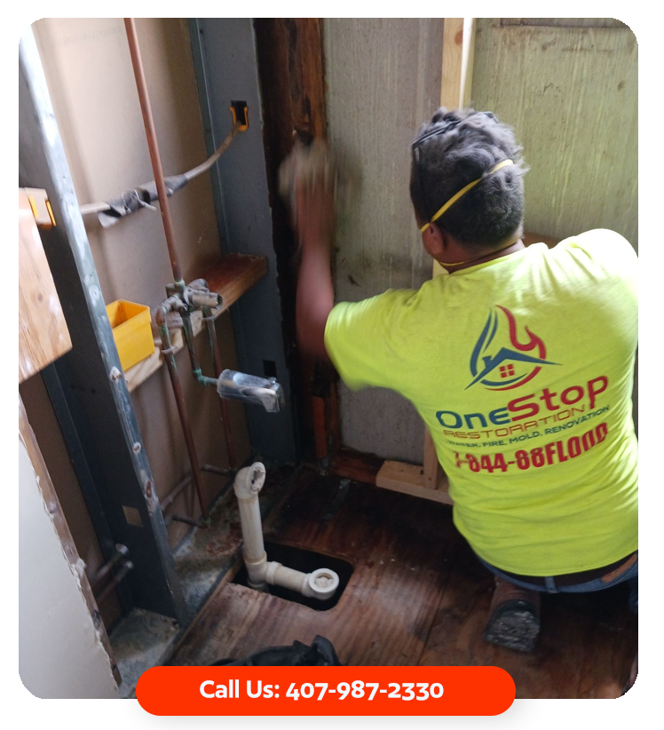 mold removal orlando fl