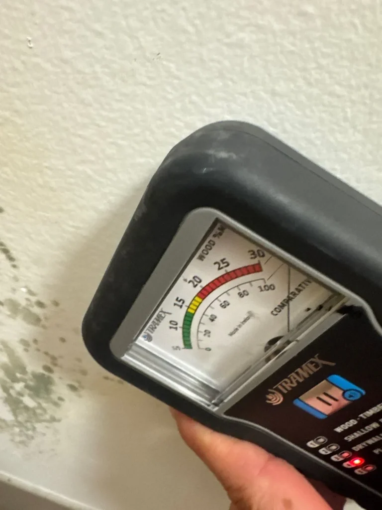Emergency Water Damage Situations That Require Immediate Attention