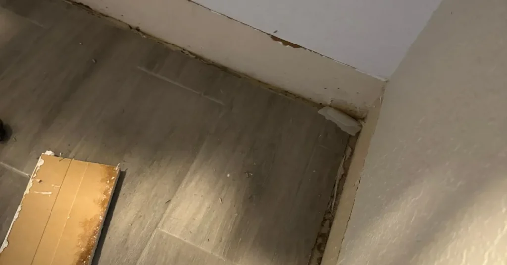 Signs You Need Water Damage Restoration Near Me