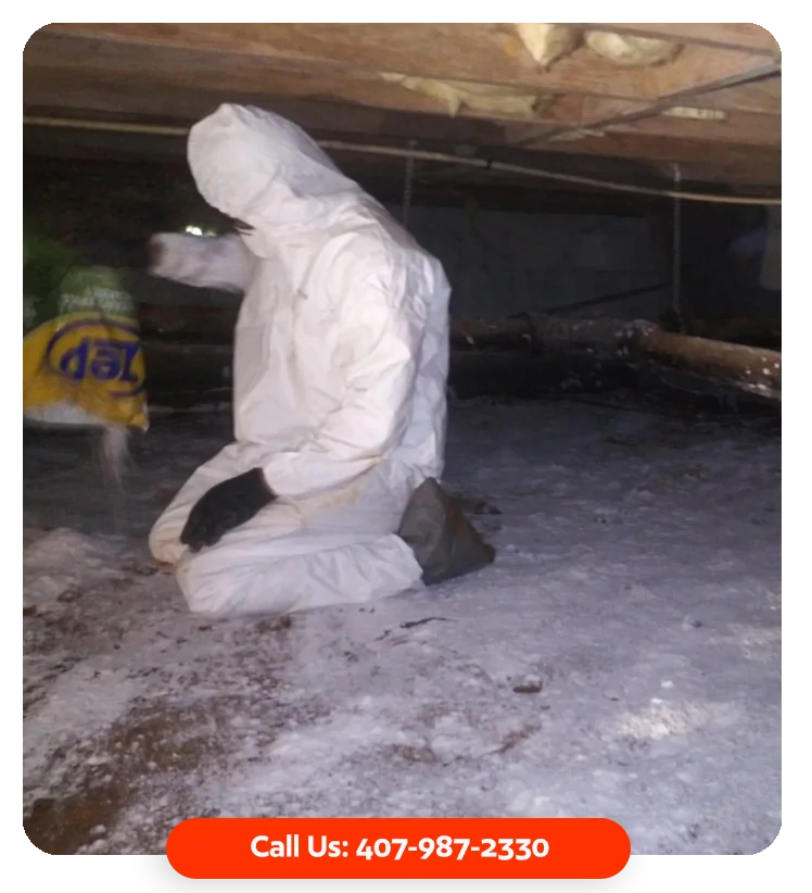 smoke damage cleanup pine hills fl