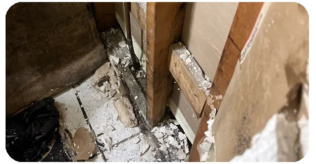 Mold Damage Cleanup