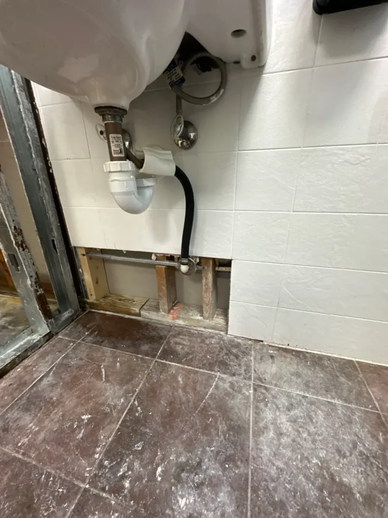 mold remediation project