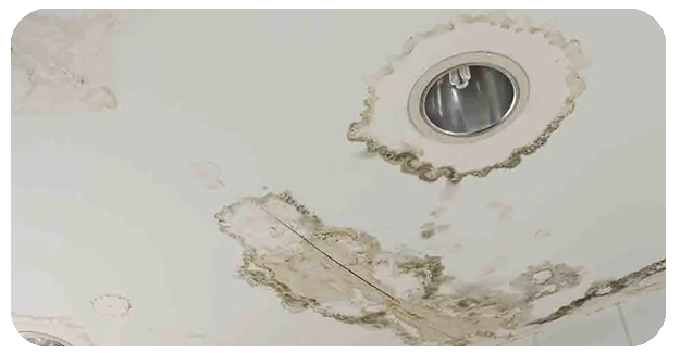 Ceiling Water Damage Repair