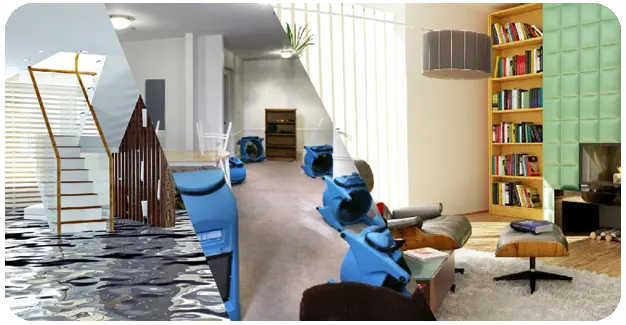 Water Damage Cleanup & Restoration: Guide & Process