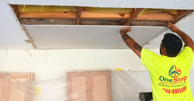 Why Choose Expert Damage Restoration Companies to Restore Your Property