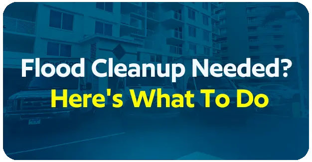 Flood Cleanup Needed? Here's What To Do
