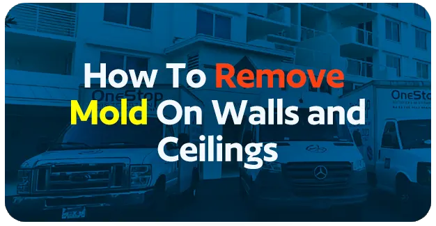 How To Remove Mold On Walls and Ceilings