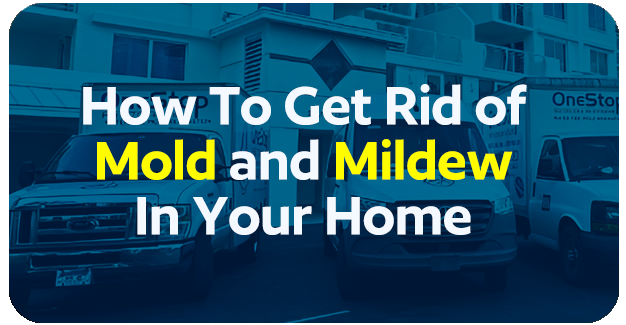 How To Get Rid of Mold and Mildew In Your Home