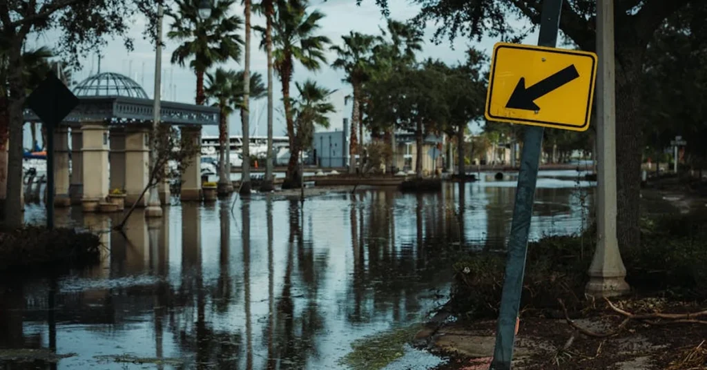 How to Spot Hidden Water Damage in Orlando Homes - One Stop Restoration