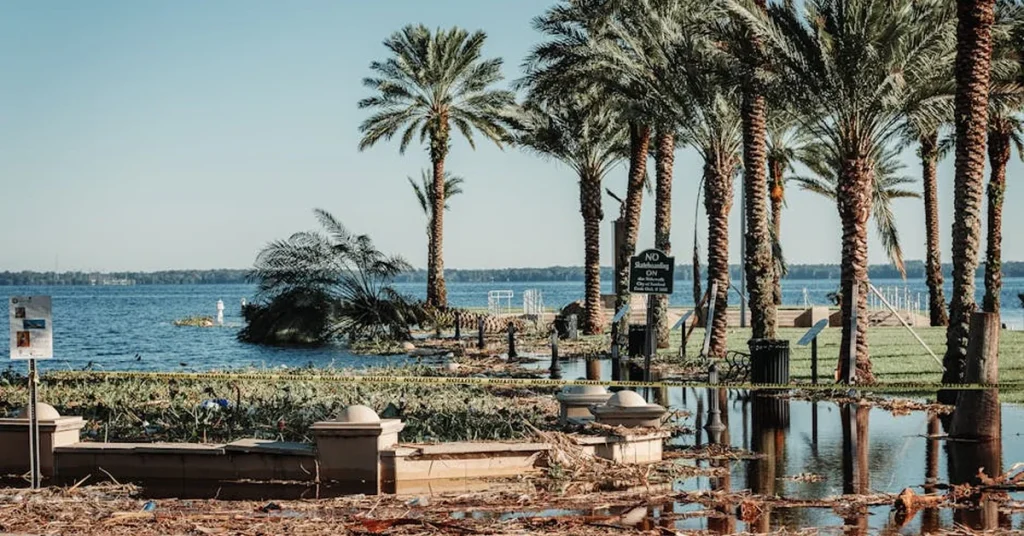 Hurricane Water Damage Cleanup in Orlando: Guide to Safe and Complete Recovery - One Stop Restoration